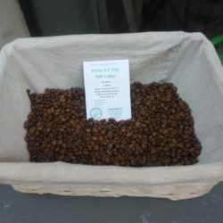 Kenia AA Top Rift Valley