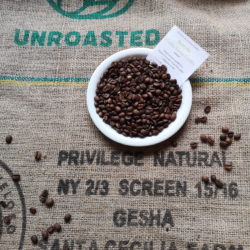 Brazylia Gesha – Santa Cecilia Farm