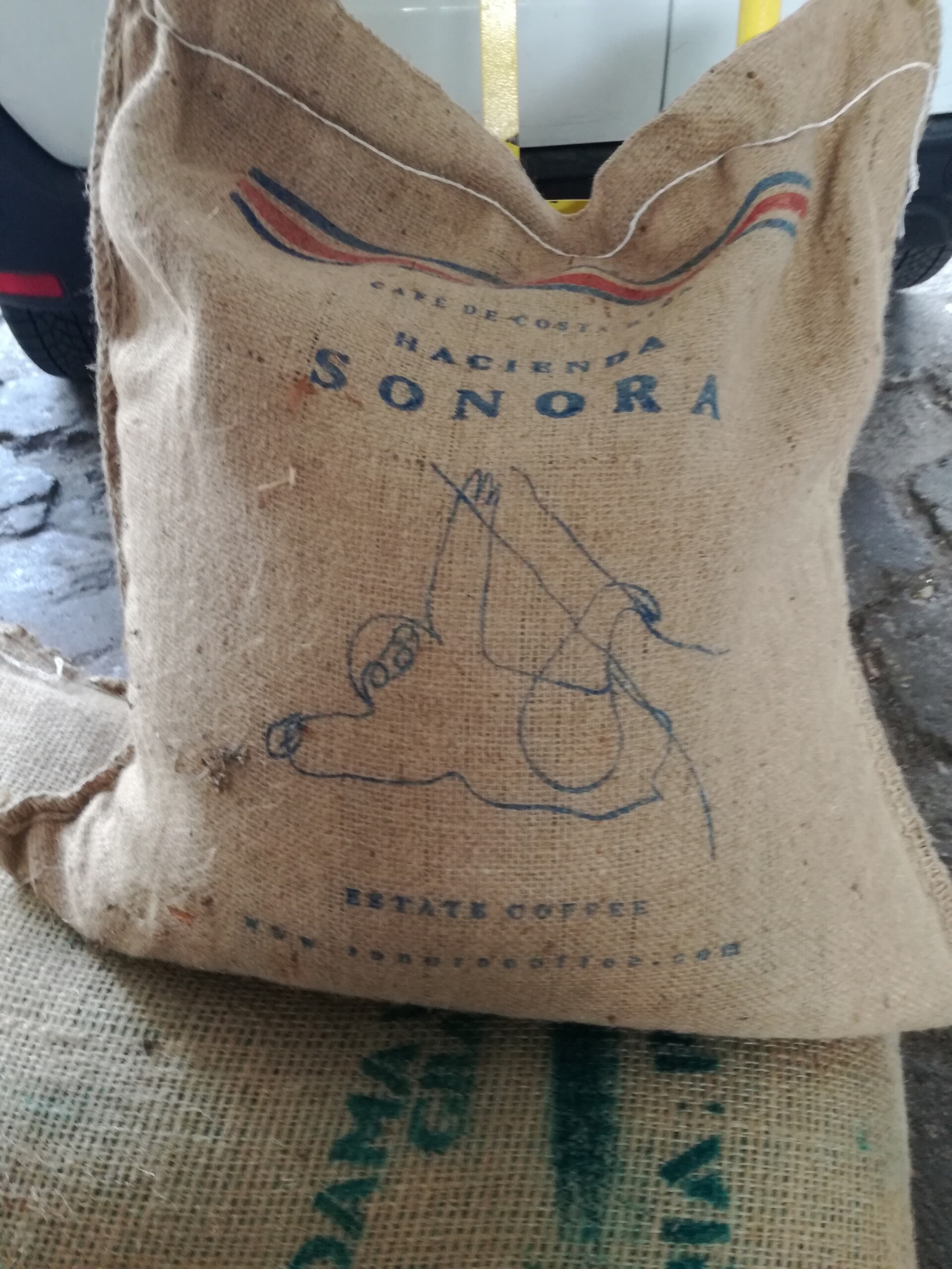 Kostaryka Hacienda Sonora Geisha Natural